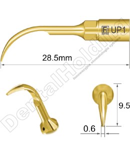 Tip do piezochirurgii UP1